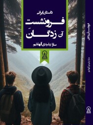 فرونشست آن زدگان